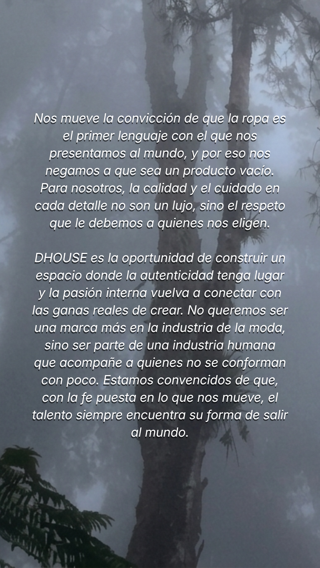 Imagen de galería